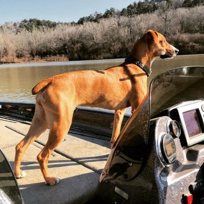 Picture of Jacob Lofland's dog